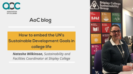 How to embed the UNs Sustainable Development Goals in college life