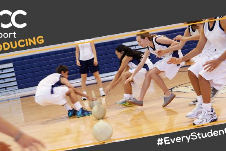 Ao C Sport Introducing Dodgeball