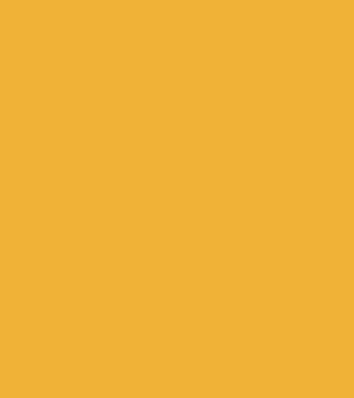 Blank amber image