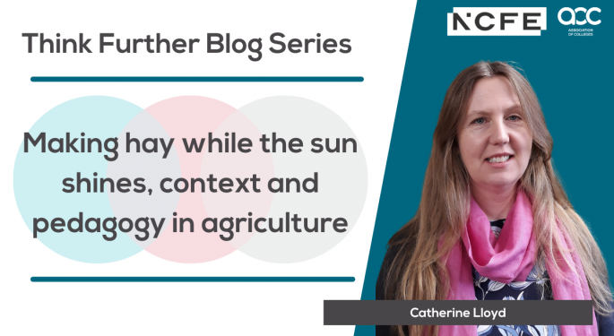 Blog series Catherine Lloyd