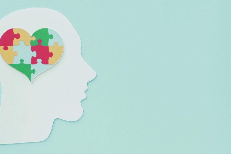 Anna Freud mental health