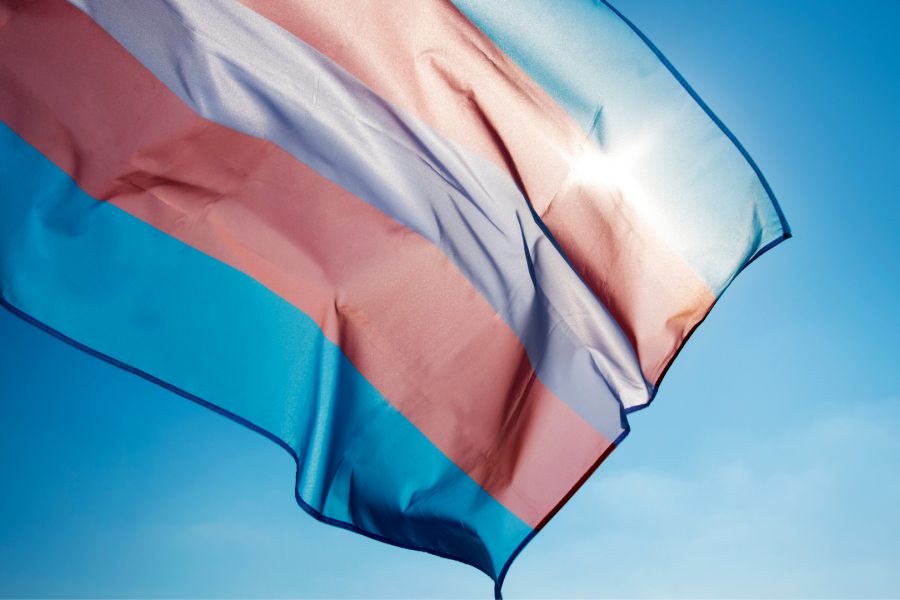 Transgender flag